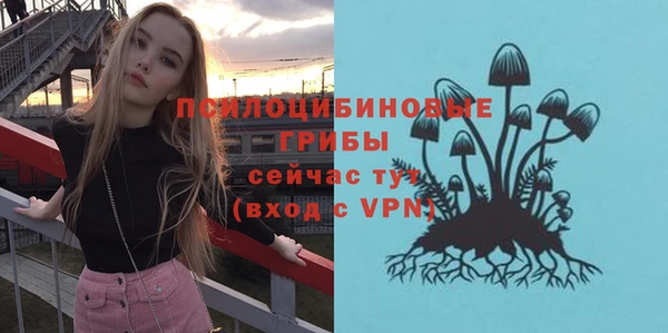 a pvp Аркадак