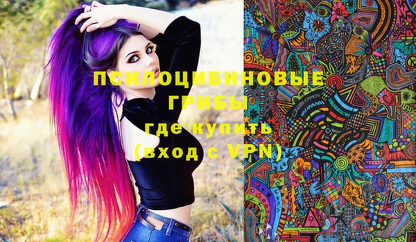 шишки Арсеньев