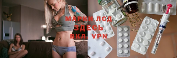 шишки Арсеньев