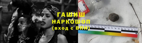 шишки Арсеньев