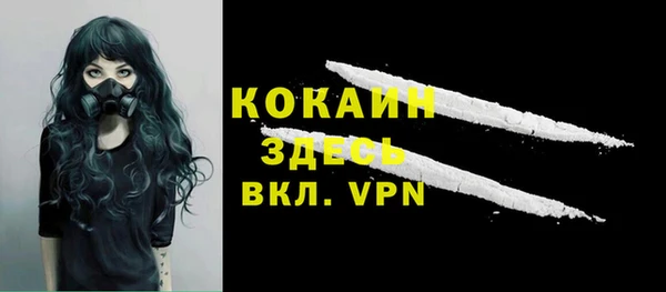 шишки Арсеньев