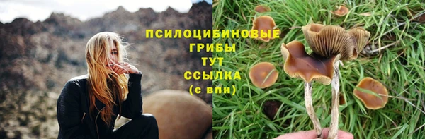 a pvp Аркадак