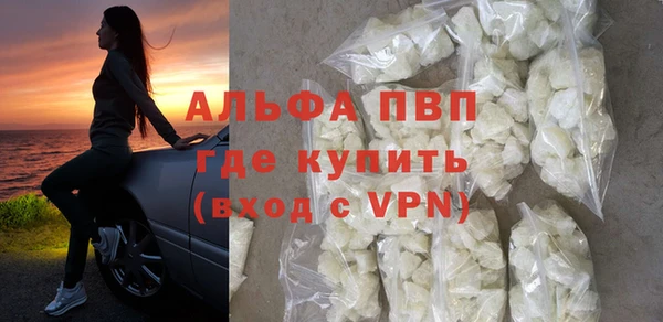 шишки Арсеньев