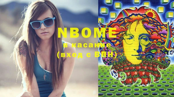соль ск Зуевка